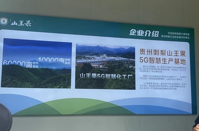 中国联通&ldquo;黔&rdquo;途无量:夯实数字化转型数据底座