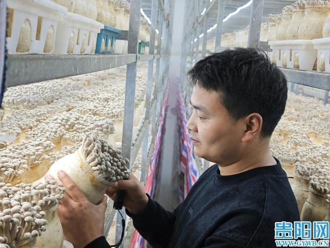 数字赋能 拉满产能!贵州品品鲜生物科技已全面复工复产
